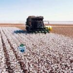 WhatsApp-Image-2020-09-28-at-10.14.10